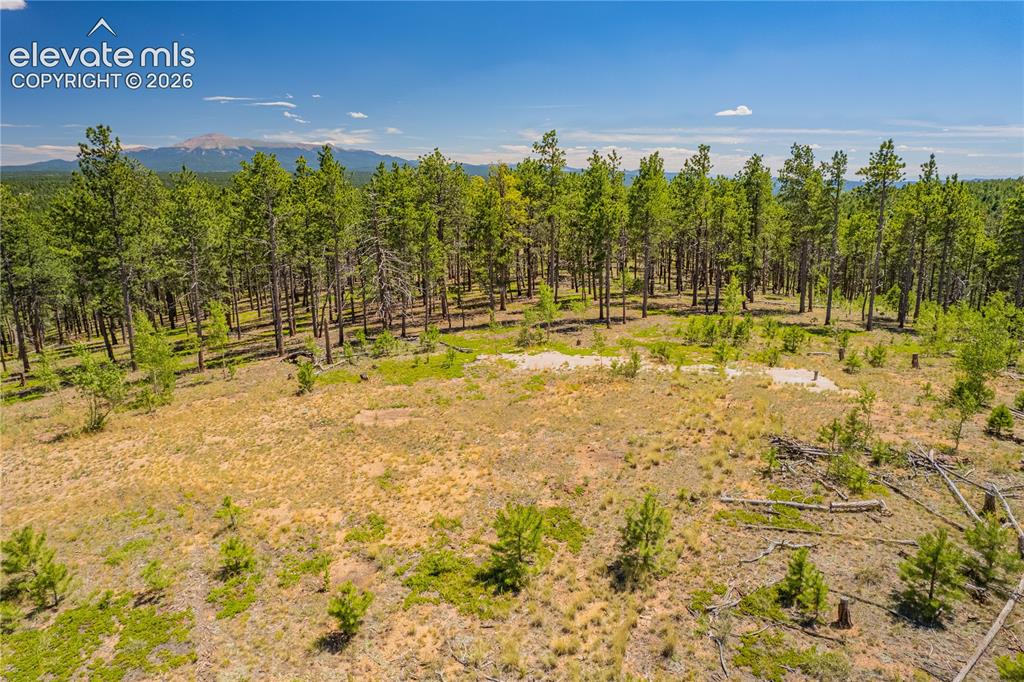 Unit 2 County Road 51 Florissant CO 80816