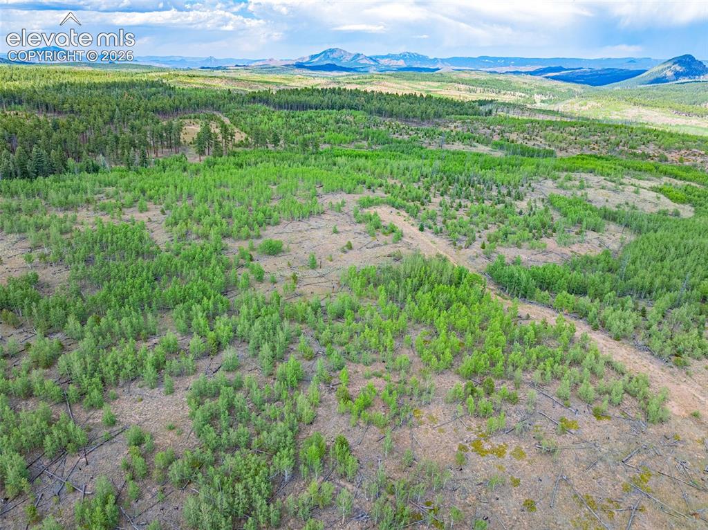 Unit 2 County Road 51 Florissant CO 80816