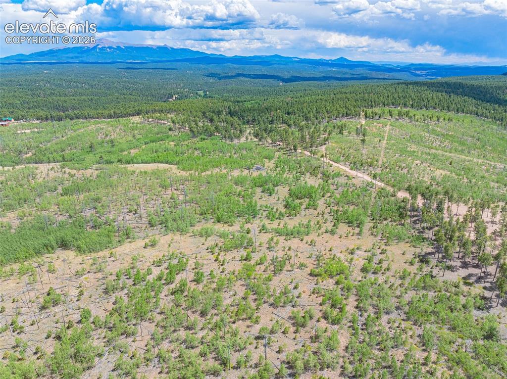 Unit 2 County Road 51 Florissant CO 80816