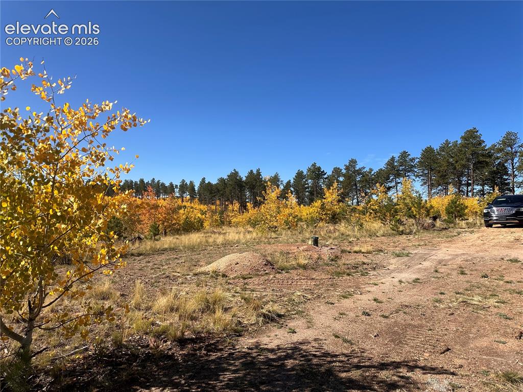 Unit 2 County Road 51 Florissant CO 80816
