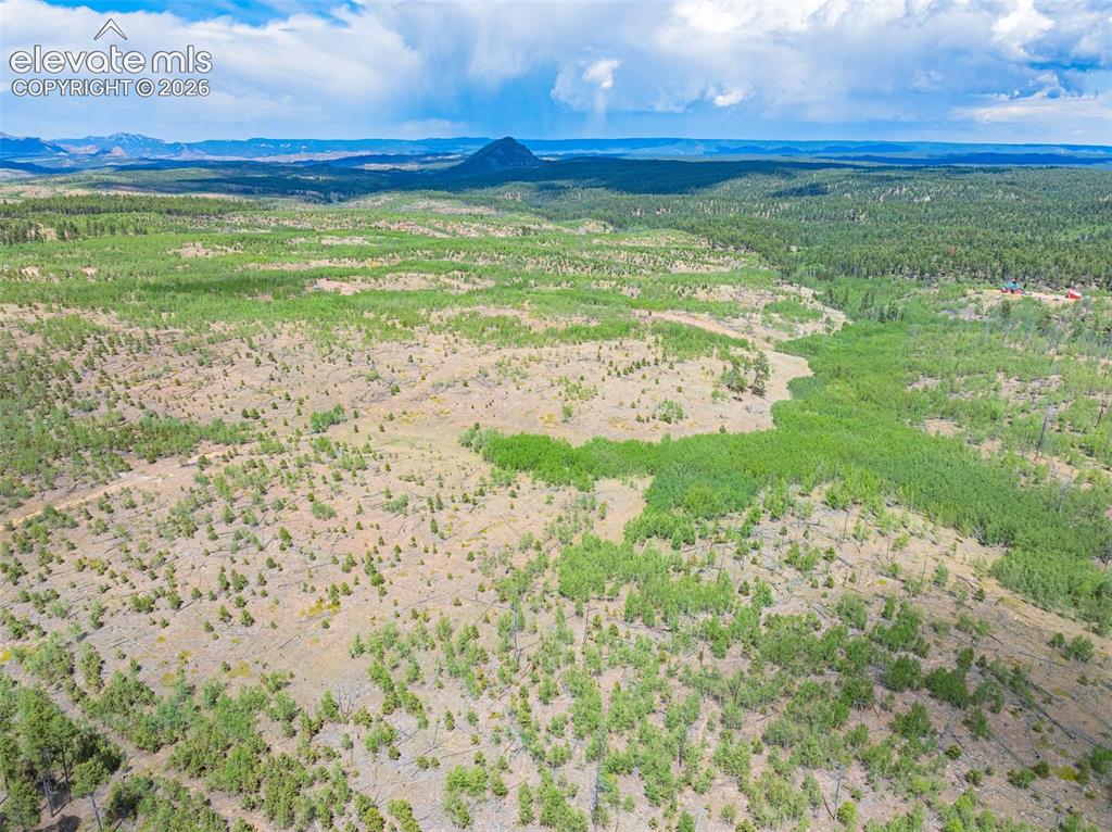 Unit 2 County Road 51 Florissant CO 80816