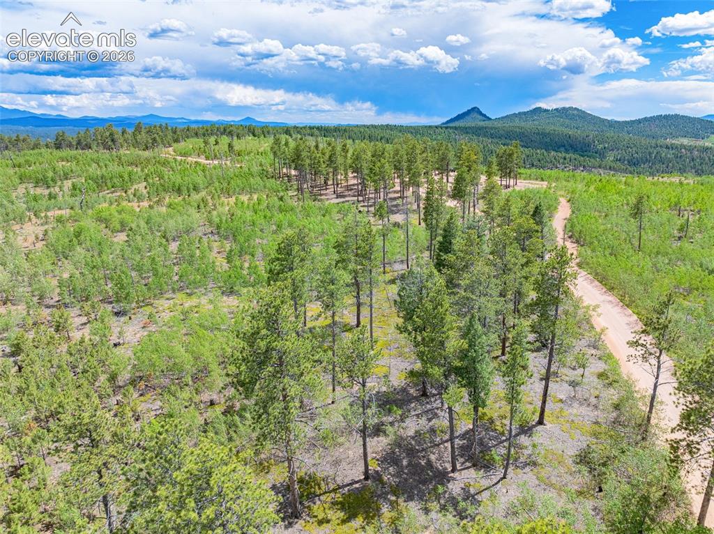 Unit 2 County Road 51 Florissant CO 80816