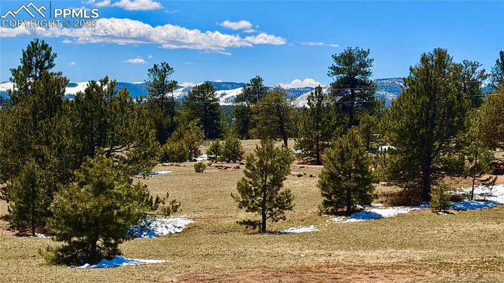 418 Scott Drive Florissant CO 80816