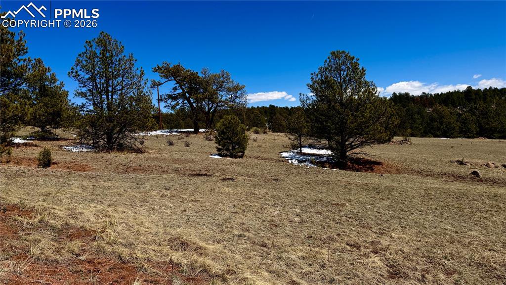 418 Scott Drive Florissant CO 80816