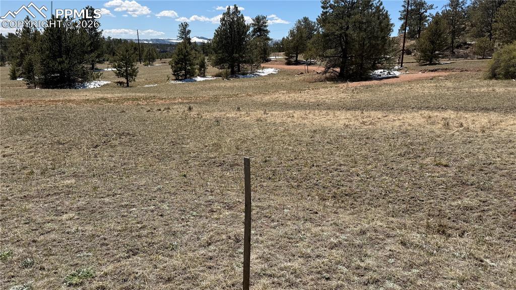 418 Scott Drive Florissant CO 80816