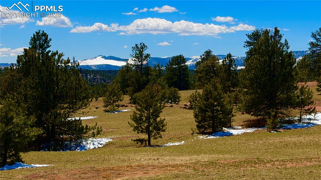418 Scott Drive Florissant CO 80816