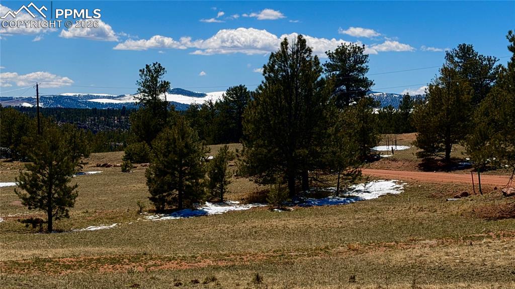 418 Scott Drive Florissant CO 80816