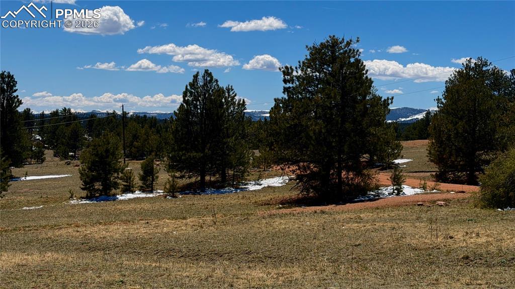 418 Scott Drive Florissant CO 80816