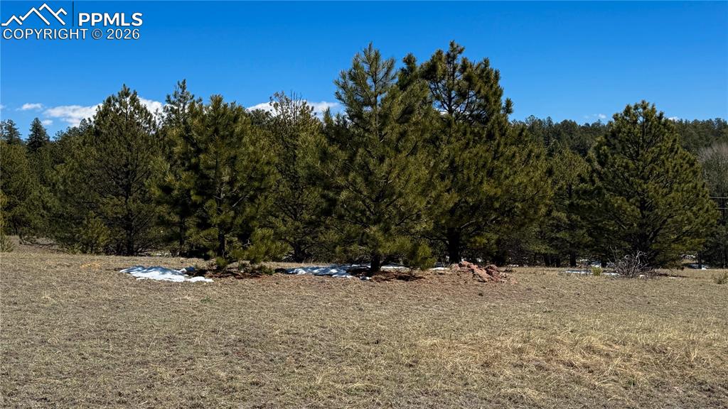 418 Scott Drive Florissant CO 80816