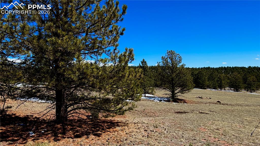 418 Scott Drive Florissant CO 80816