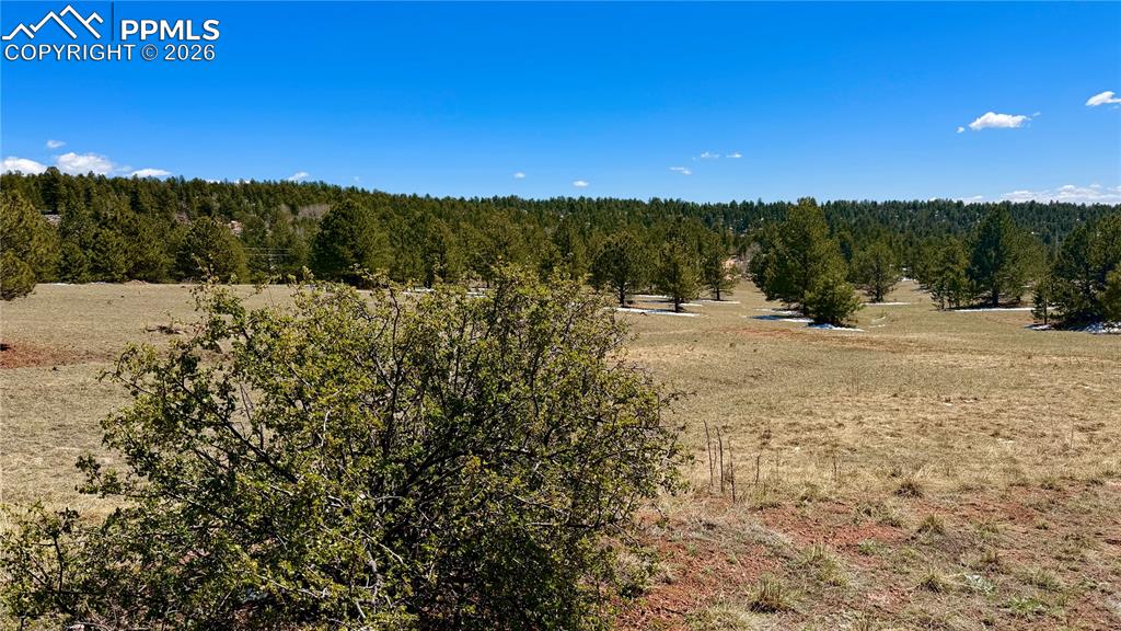 418 Scott Drive Florissant CO 80816