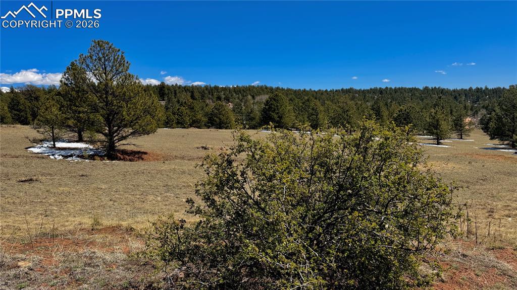 418 Scott Drive Florissant CO 80816