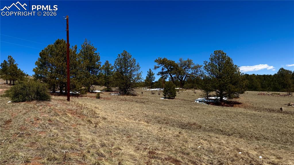 418 Scott Drive Florissant CO 80816