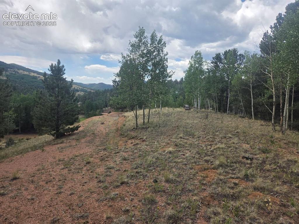 1124 Yorktown Road Cripple Creek CO 80813