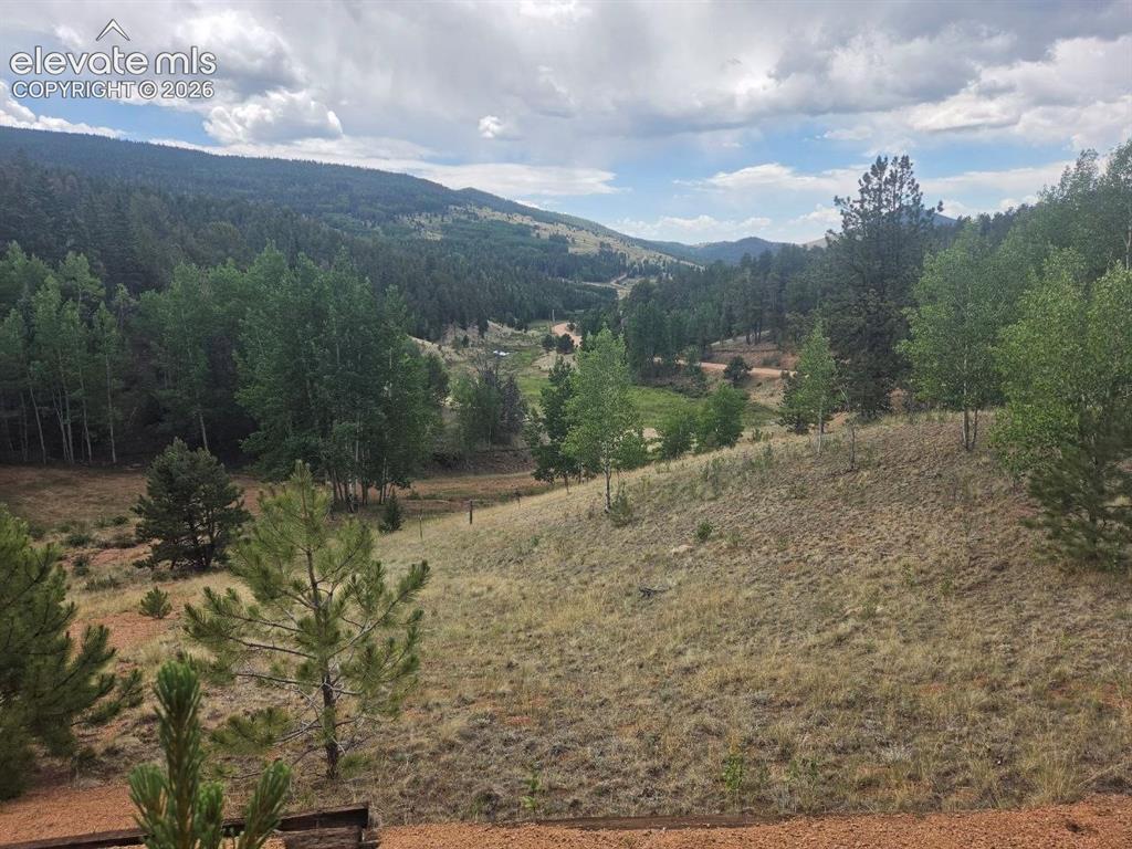 1124 Yorktown Road Cripple Creek CO 80813