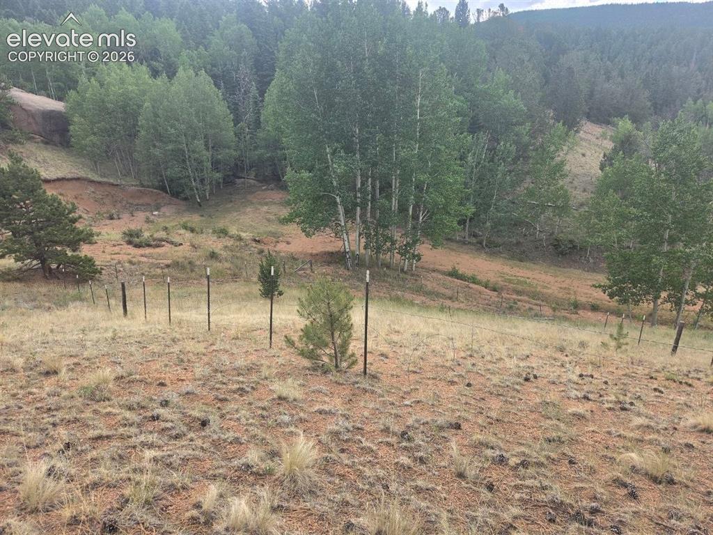 1124 Yorktown Road Cripple Creek CO 80813
