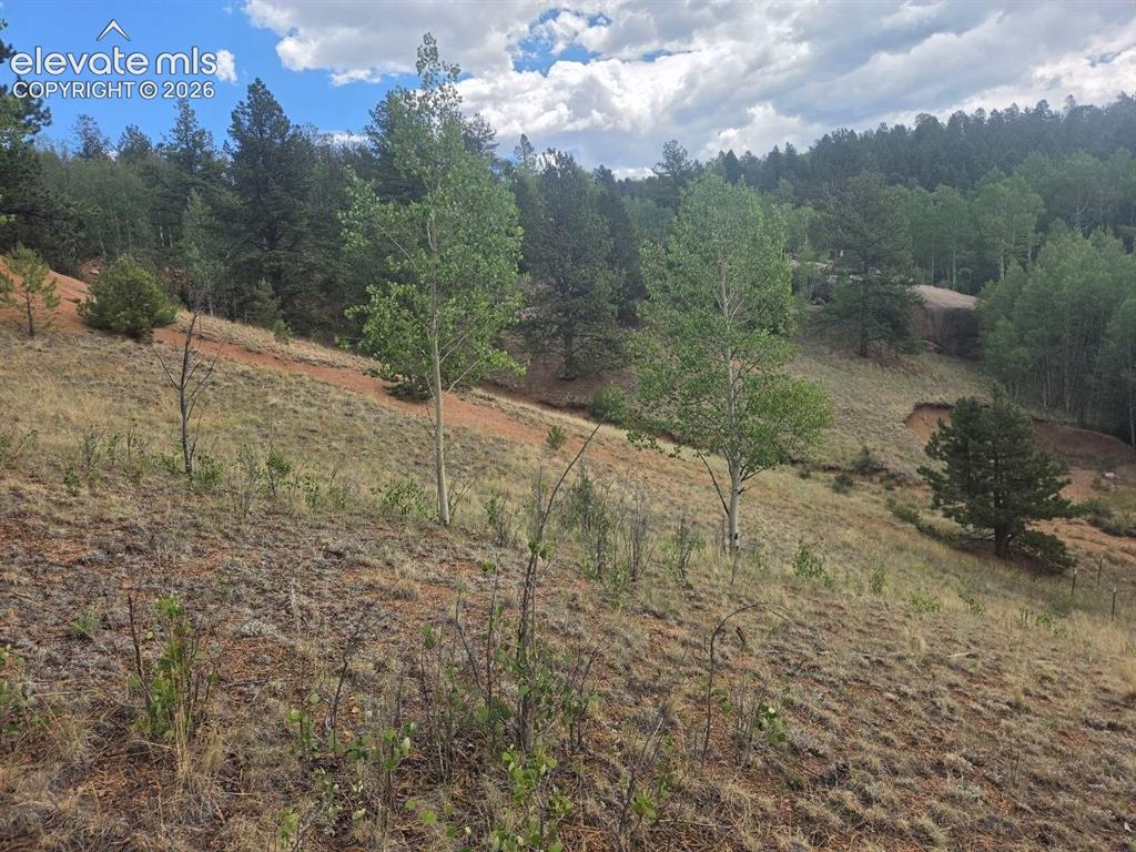 1124 Yorktown Road Cripple Creek CO 80813