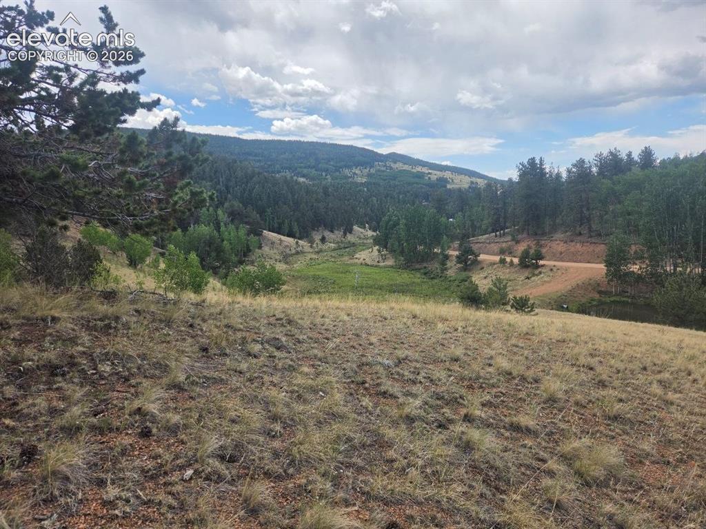 1124 Yorktown Road Cripple Creek CO 80813