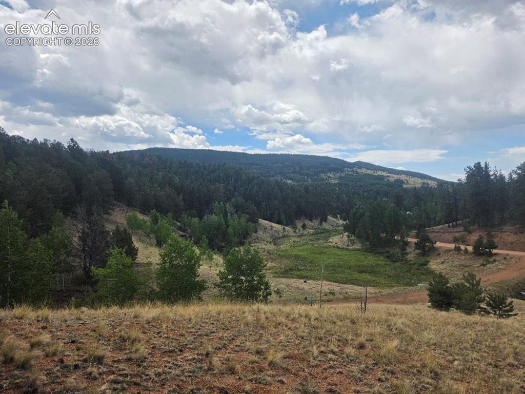 1124 Yorktown Road Cripple Creek CO 80813