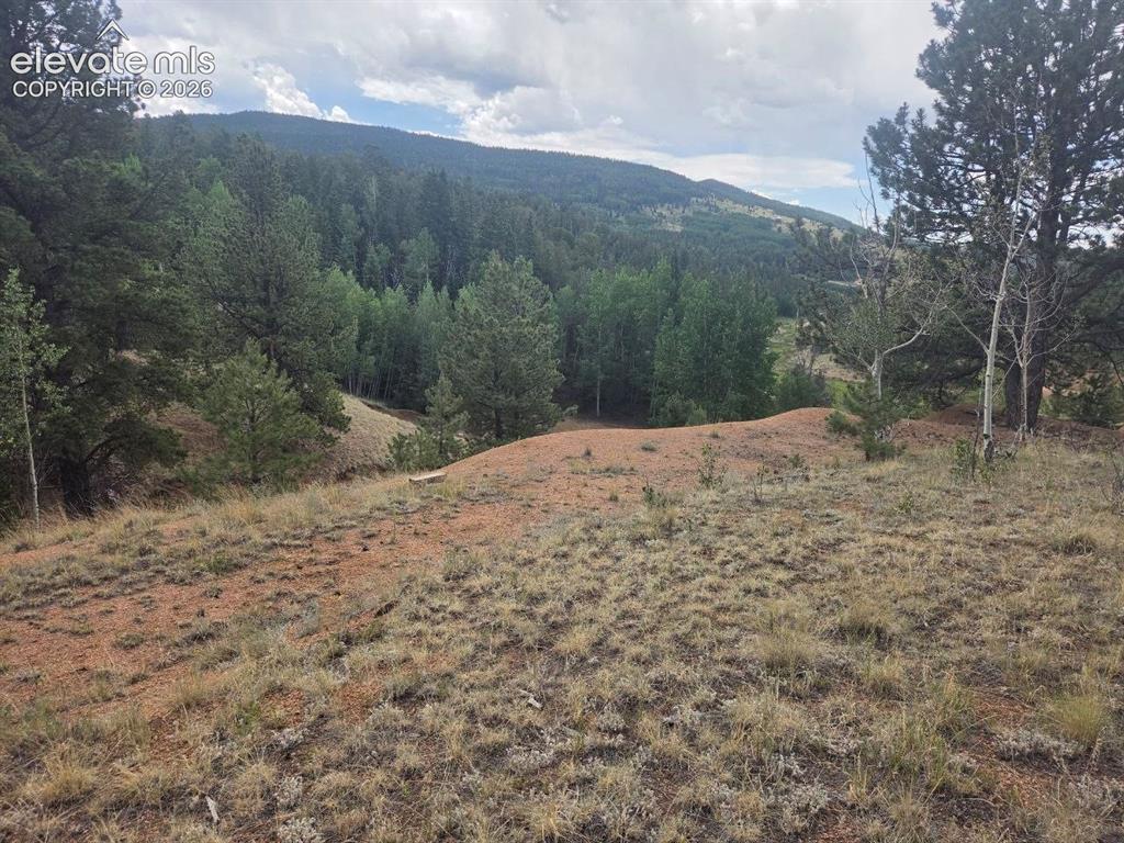 1124 Yorktown Road Cripple Creek CO 80813