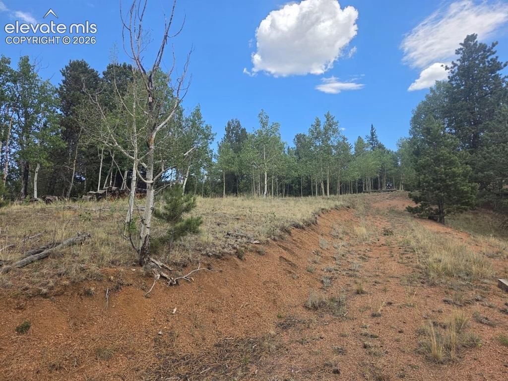 1124 Yorktown Road Cripple Creek CO 80813