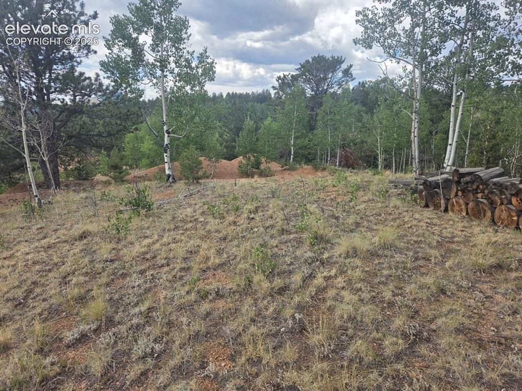 1124 Yorktown Road Cripple Creek CO 80813