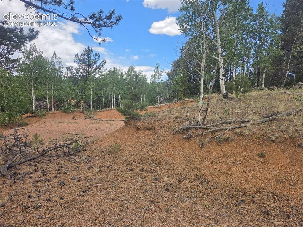 1124 Yorktown Road Cripple Creek CO 80813