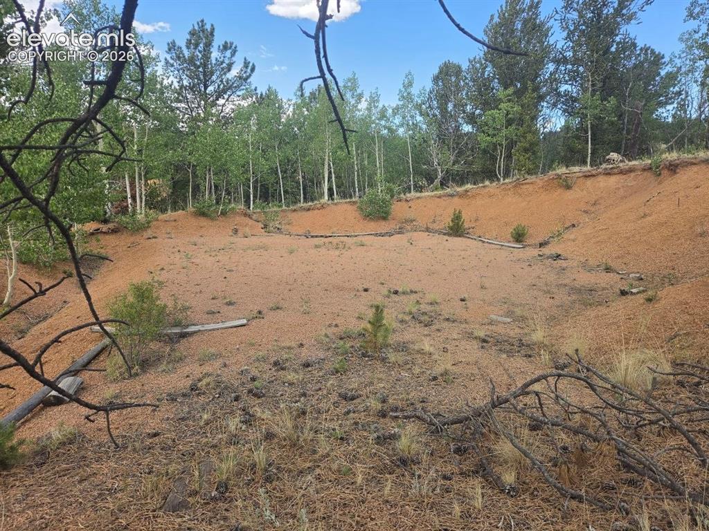 1124 Yorktown Road Cripple Creek CO 80813