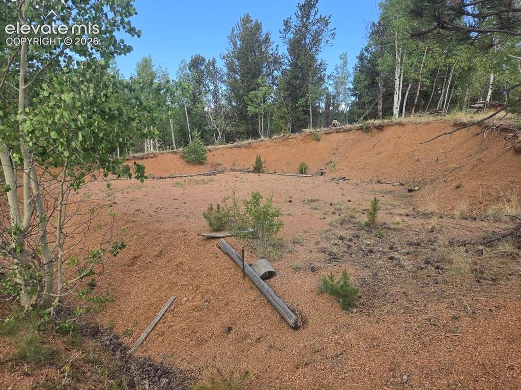 1124 Yorktown Road Cripple Creek CO 80813