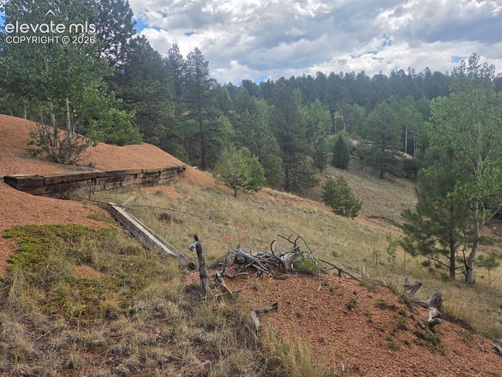 1124 Yorktown Road Cripple Creek CO 80813