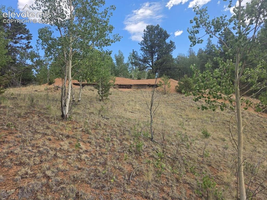 1124 Yorktown Road Cripple Creek CO 80813