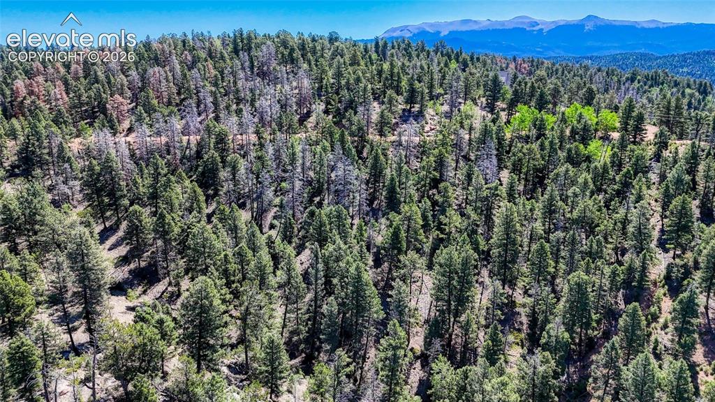 3454 N Mountain Estates Road Florissant CO 80816
