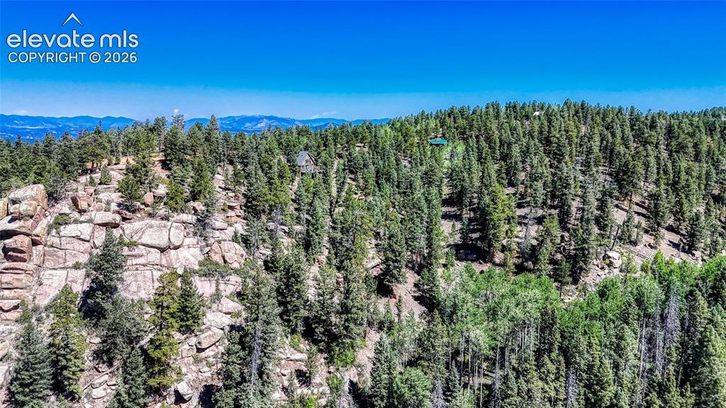 3454 N Mountain Estates Road Florissant CO 80816