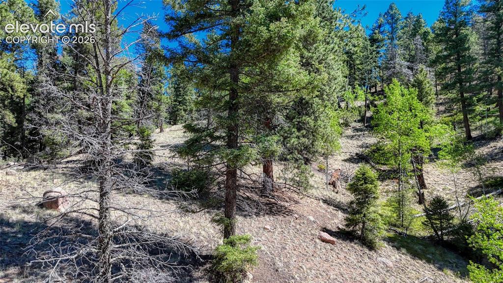 3454 N Mountain Estates Road Florissant CO 80816