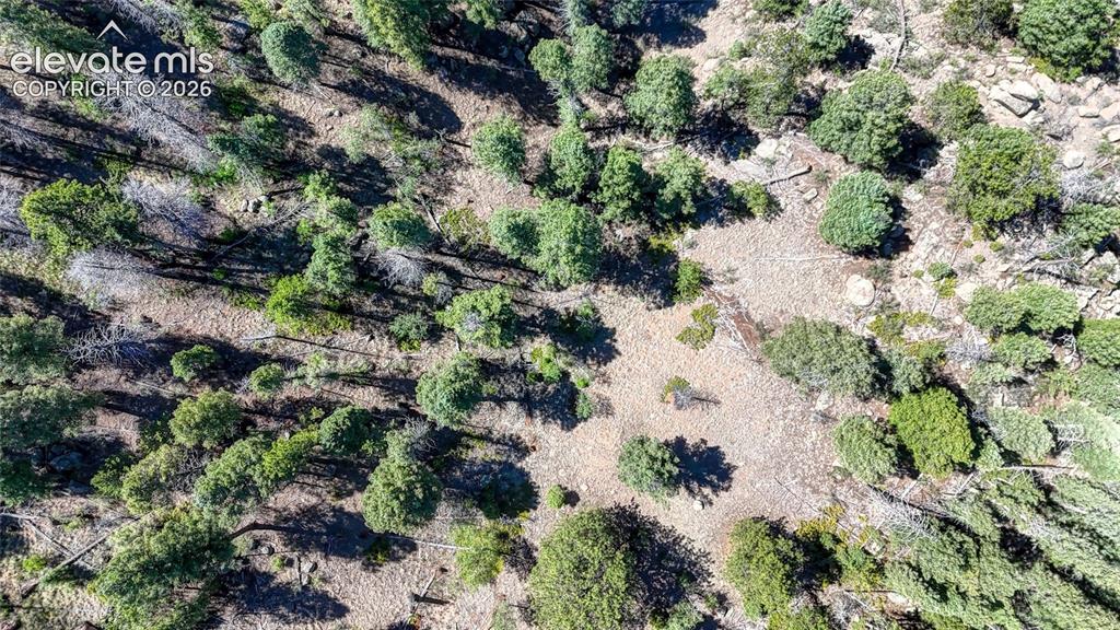 3454 N Mountain Estates Road Florissant CO 80816