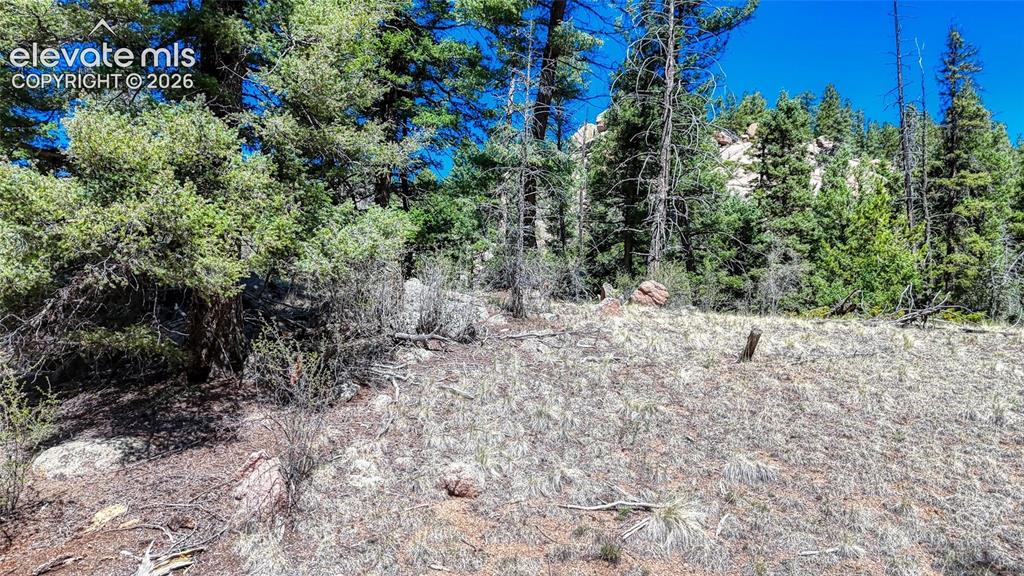 3454 N Mountain Estates Road Florissant CO 80816