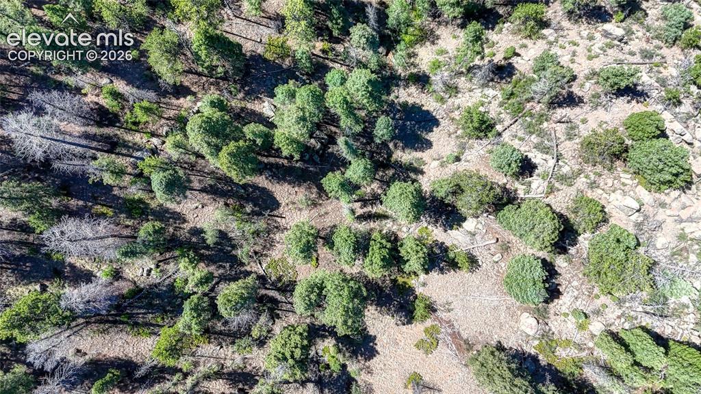 3454 N Mountain Estates Road Florissant CO 80816