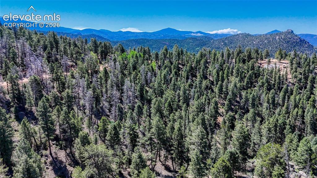 3454 N Mountain Estates Road Florissant CO 80816
