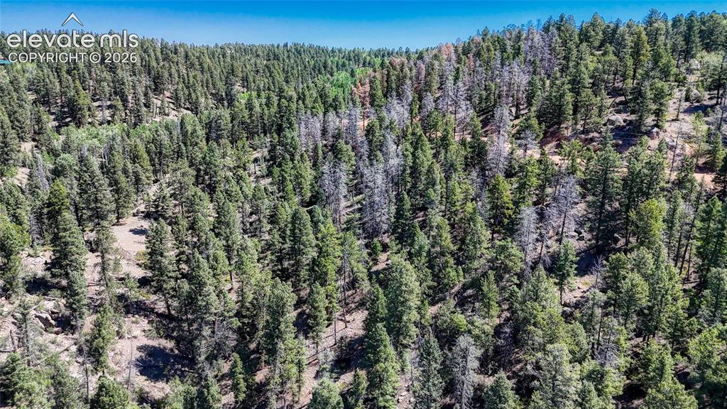 3454 N Mountain Estates Road Florissant CO 80816