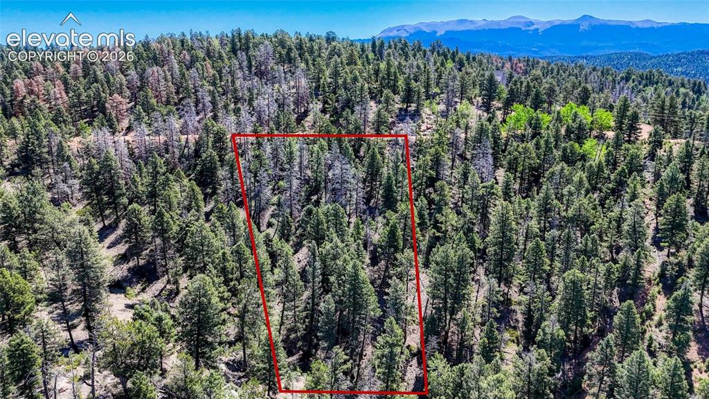 3454 N Mountain Estates Road Florissant CO 80816