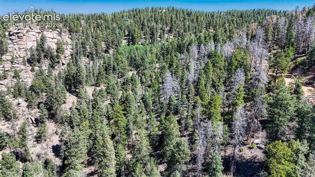 3454 N Mountain Estates Road Florissant CO 80816