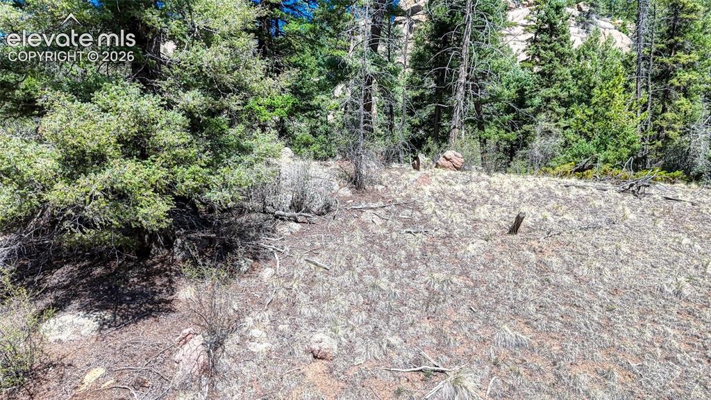 3454 N Mountain Estates Road Florissant CO 80816