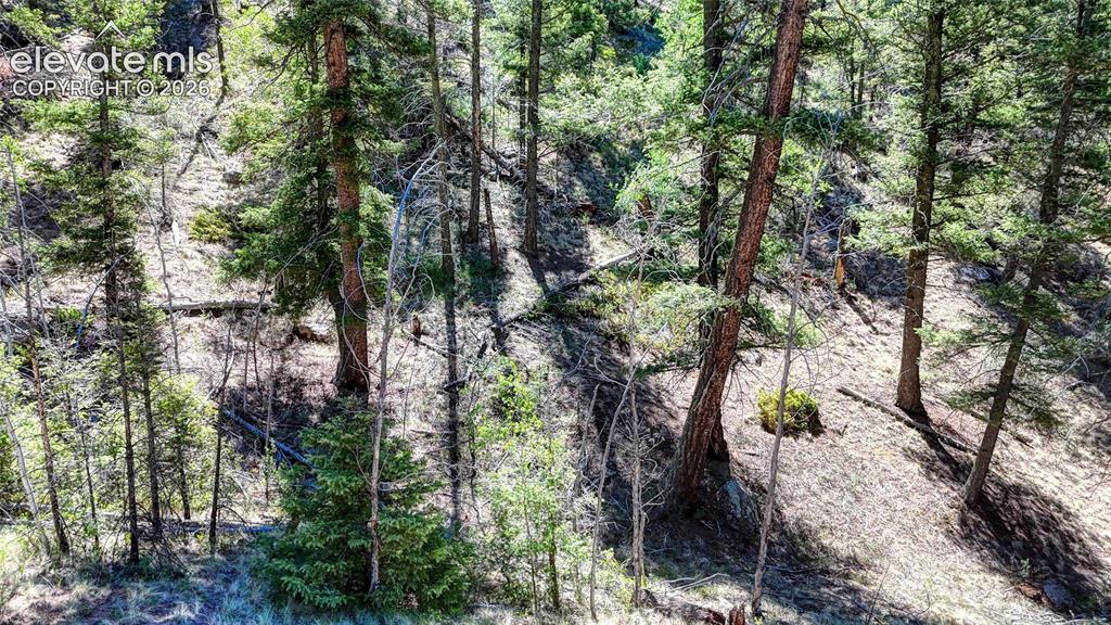 3454 N Mountain Estates Road Florissant CO 80816