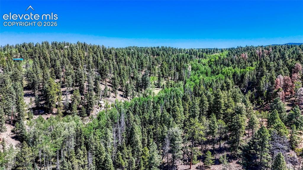 3454 N Mountain Estates Road Florissant CO 80816