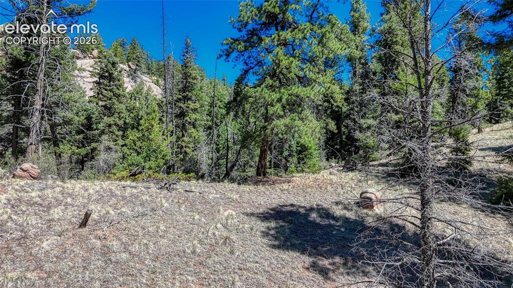 3454 N Mountain Estates Road Florissant CO 80816