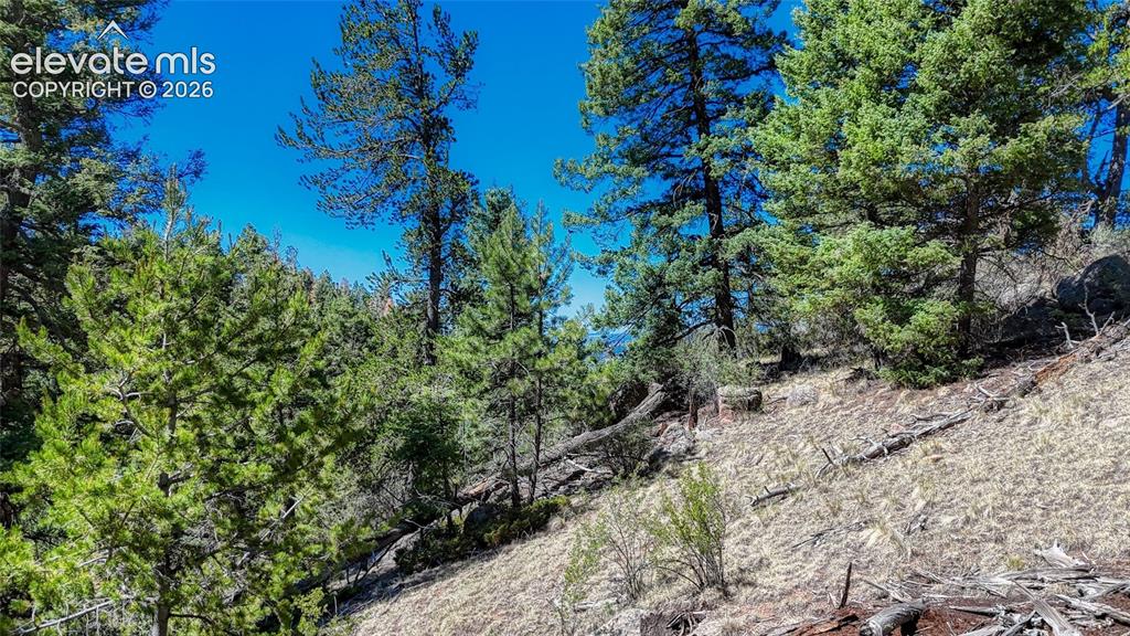 3454 N Mountain Estates Road Florissant CO 80816