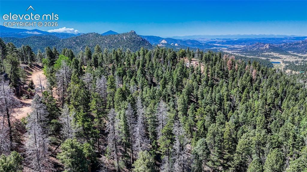 3454 N Mountain Estates Road Florissant CO 80816