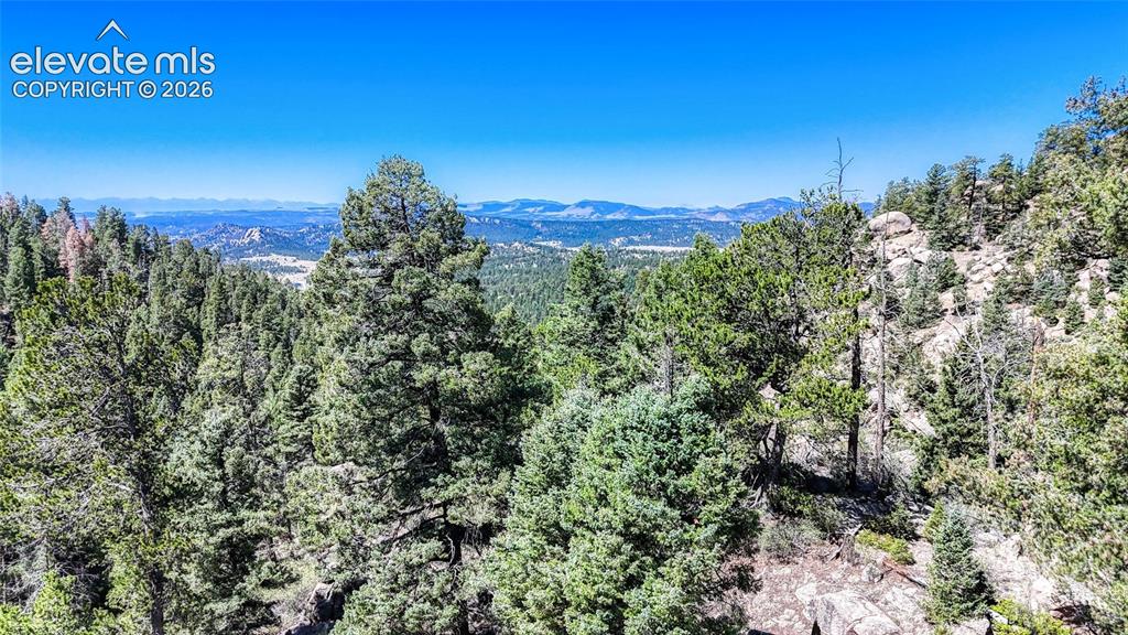 3454 N Mountain Estates Road Florissant CO 80816