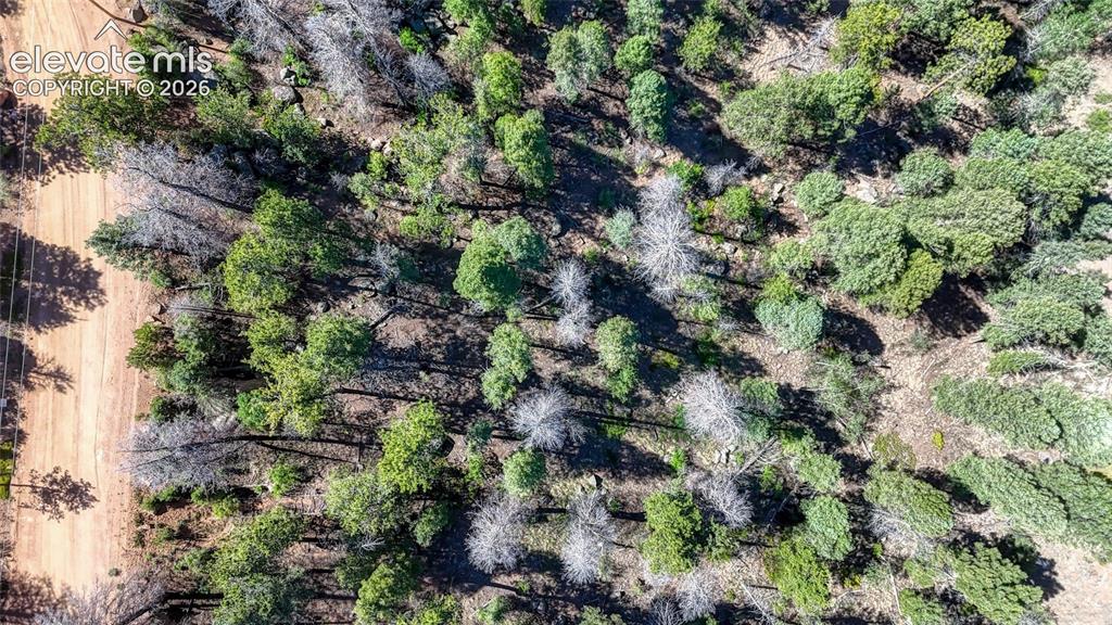 3454 N Mountain Estates Road Florissant CO 80816
