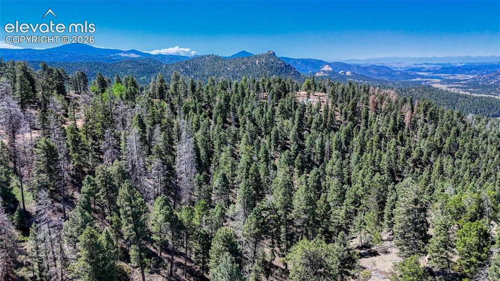 3454 N Mountain Estates Road Florissant CO 80816